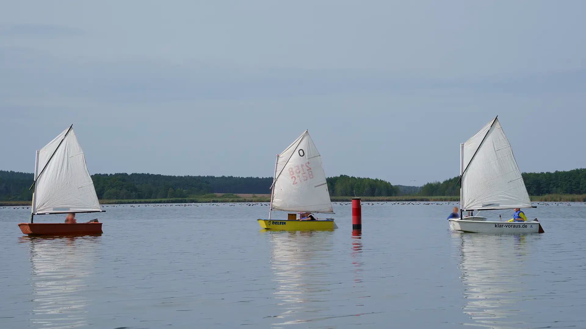 Segeln für Kinder